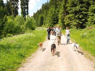2009-05-24_ntb_1391