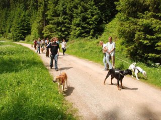 2009-05-24_ntb_1392