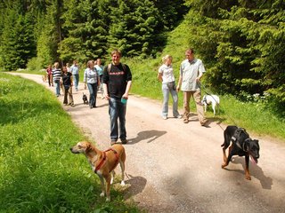 2009-05-24_ntb_1393