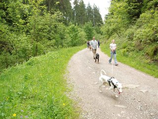 2009-05-24_ntb_1394