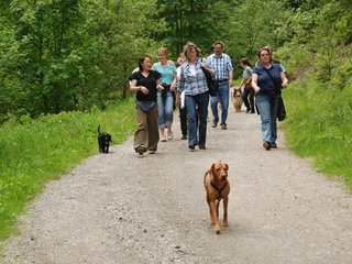 2009-05-24_ntb_1396