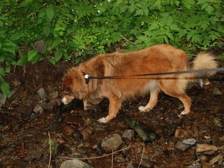 2009-05-24_ntb_1403