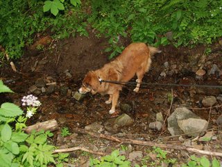 2009-05-24_ntb_1404
