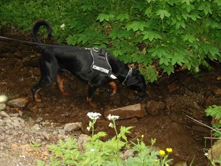 2009-05-24_ntb_1405