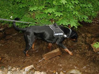 2009-05-24_ntb_1406