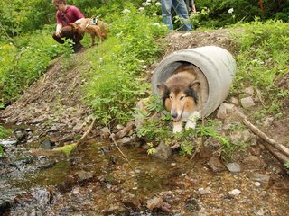 2009-05-24_ntb_1409