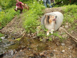 2009-05-24_ntb_1410