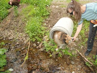 2009-05-24_ntb_1411