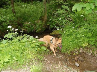 2009-05-24_ntb_1413