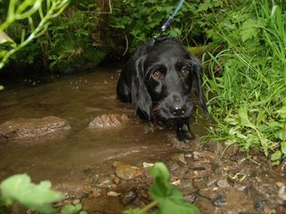 2009-05-24_ntb_1416