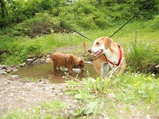 2009-05-24_ntb_1417