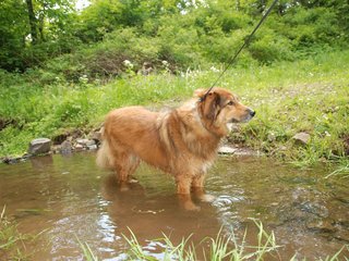 2009-05-24_ntb_1418