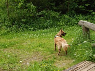 2009-05-24_ntb_1419