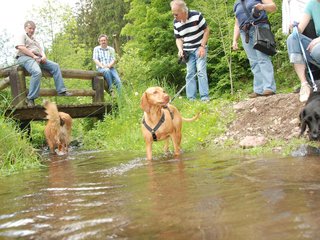 2009-05-24_ntb_1420