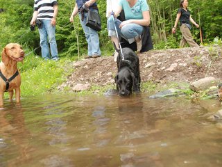 2009-05-24_ntb_1421