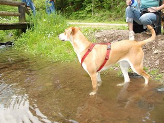 2009-05-24_ntb_1422