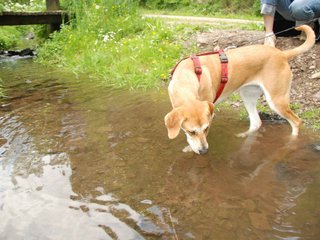 2009-05-24_ntb_1423