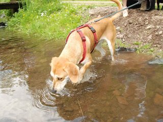 2009-05-24_ntb_1424
