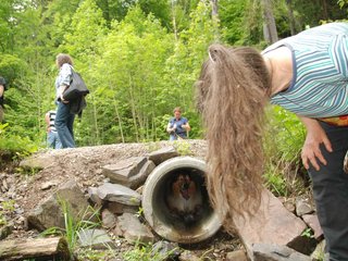 2009-05-24_ntb_1425