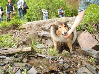 2009-05-24_ntb_1429