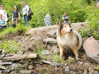 2009-05-24_ntb_1430