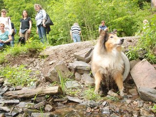 2009-05-24_ntb_1431