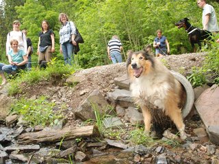 2009-05-24_ntb_1433