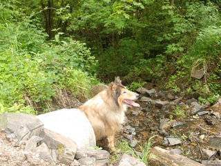 2009-05-24_ntb_1434