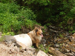 2009-05-24_ntb_1435