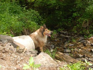 2009-05-24_ntb_1436