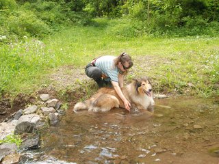 2009-05-24_ntb_1437