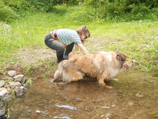 2009-05-24_ntb_1438