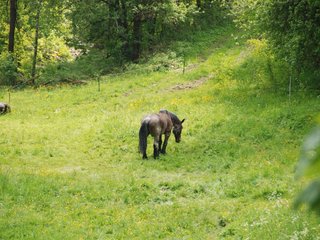 2009-05-24_ntb_1441