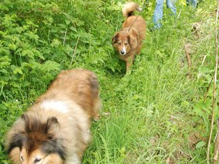 2009-05-24_ntb_1445