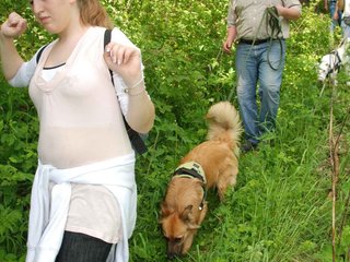 2009-05-24_ntb_1447
