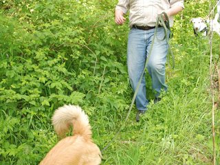 2009-05-24_ntb_1448