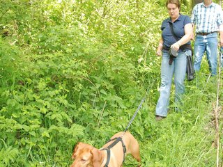 2009-05-24_ntb_1450