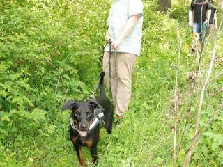 2009-05-24_ntb_1451