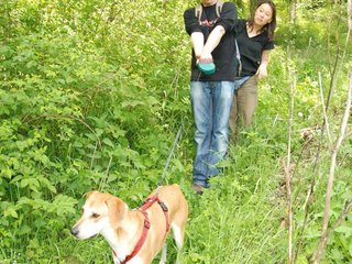 2009-05-24_ntb_1452