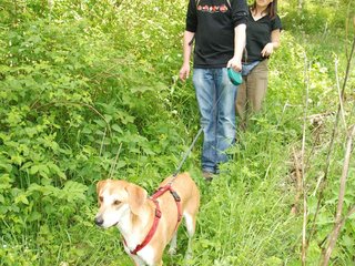 2009-05-24_ntb_1453