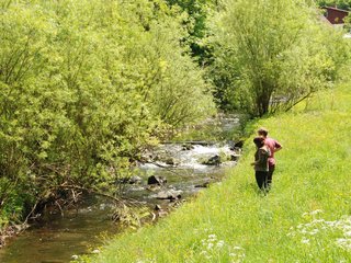 2009-05-24_ntb_1454