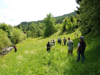 2009-05-24_ntb_1455