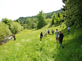 2009-05-24_ntb_1456