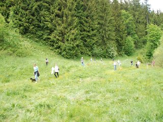 2009-05-24_ntb_1459