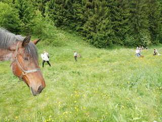 2009-05-24_ntb_1460
