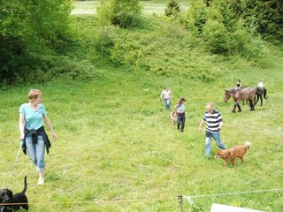 2009-05-24_ntb_1462