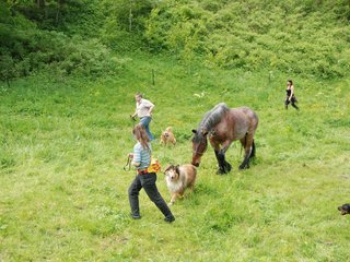 2009-05-24_ntb_1463