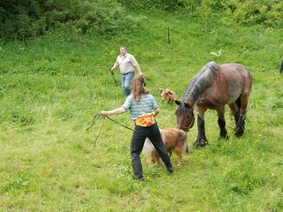 2009-05-24_ntb_1464