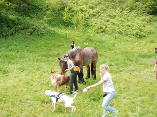 2009-05-24_ntb_1466