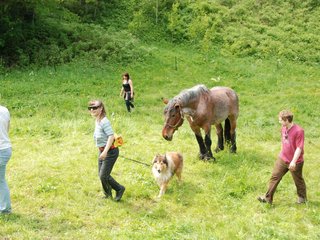 2009-05-24_ntb_1467